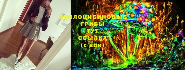 apvp Лиски