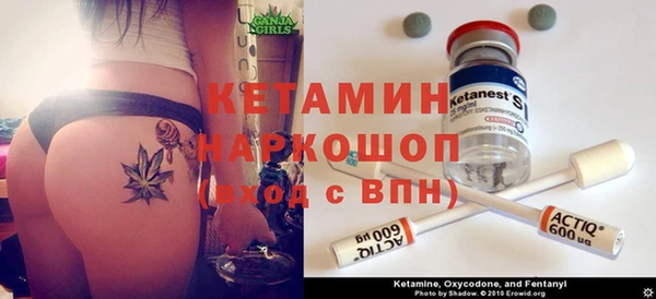 прущие грибы Гвардейск