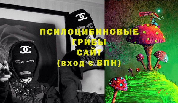 apvp Лиски