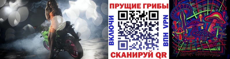 Галлюциногенные грибы прущие грибы  купить  цена  Лосино-Петровский 