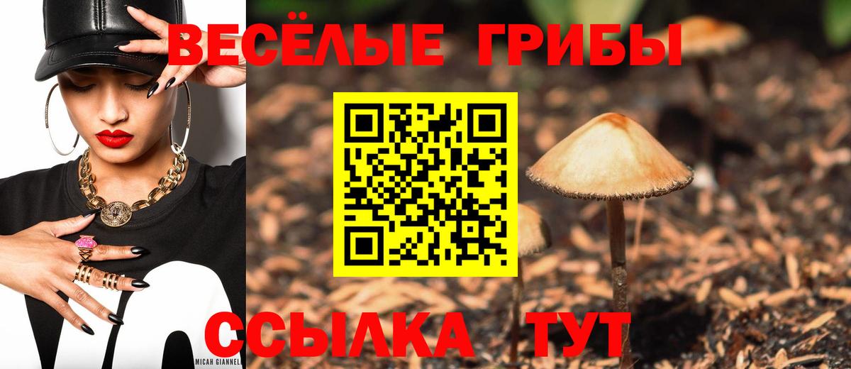 Лосино-Петровский  наркошоп  Вход с VPN  Псилоцибиновые грибы ЛСД 